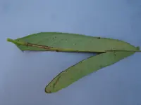 DSC03591.webp
