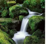 fluss.webp