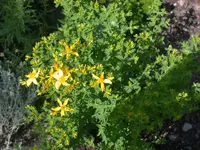 DSCN4459.webp