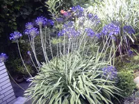 PICT0119.webp