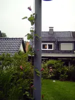 PICT0075.webp