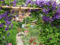 IMG_0591-clem-3.webp