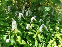 P1010656.webp