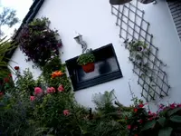SIMG0050.webp