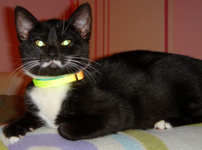 DSC01387.webp
