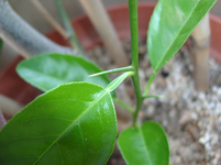 resized_01010214.webp
