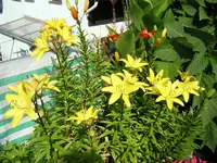DSCN0282.webp