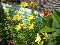 DSCN0281.webp