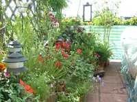 DSCN0283.webp