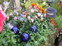 DSCN0284.webp