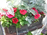 DSCN0285.webp