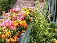 DSCN0286.webp