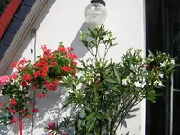 DSCN0287.webp
