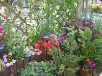 DSCN0288.webp
