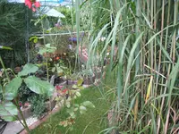 IMG_0023.Netz.webp