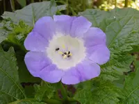 jpg6.webp