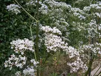 100_0090_800x600.webp