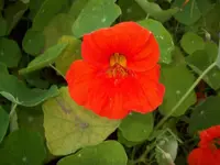 100_0127_800x600.webp
