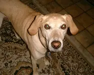 DSCF0017.webp