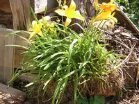 DSCN5445.webp