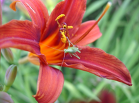 resized_01010207.webp
