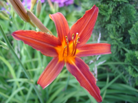 resized_01010216.webp