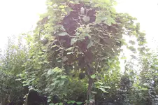 100_5214.webp