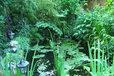 100_7212.JPG kleiner.webp