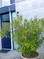 Bild011.webp