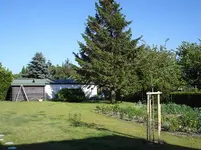 Blick in den Garten.webp