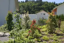 Sommergarten4.webp