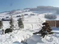 Snow.webp