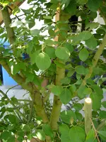 DSC02790.webp