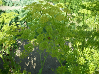 Past.1.webp