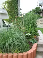IMG_0006.webp
