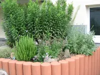 IMG_0005.webp