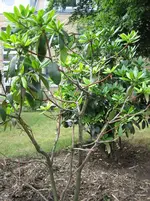 IMG_0002.webp