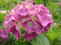 resized_01010157.webp