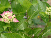 resized_01010161.webp