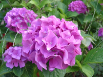 resized_01010205.webp