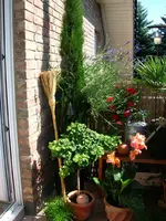 Balkon 3 2008%20009.webp