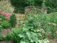 Bild nahaufnahmen 001.webp