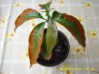 Test 598.webp