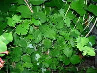 Kopie von DSCN3244.webp