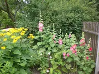 Garten 06-5 059.webp