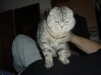 Eila DSC02505 (1).webp