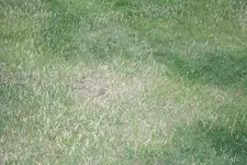 IMG_1628pp.webp