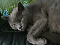 DSCF3519.webp