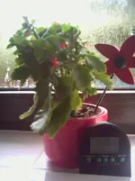 JD310069.webp