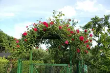 2010  Berlin 06 314.webp